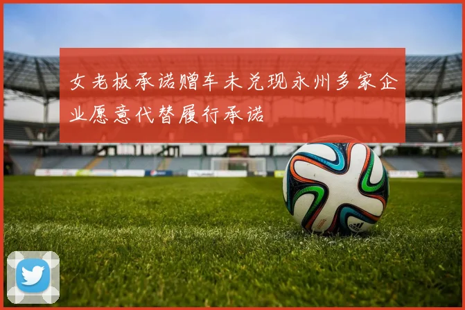 女老板承诺赠车未兑现永州多家企业愿意代替履行承诺