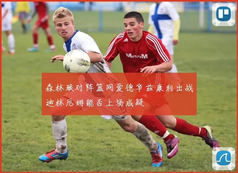 森林狼对阵篮网爱德华兹康利出战迪林厄姆能否上场成疑