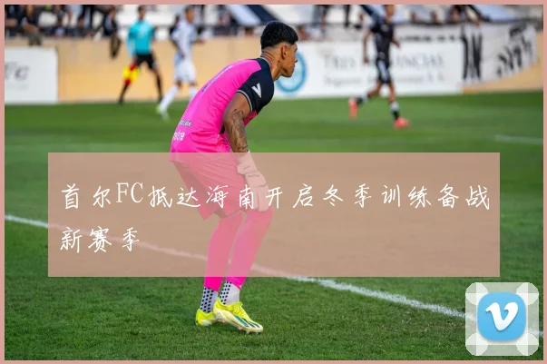 首尔FC抵达海南开启冬季训练备战新赛季